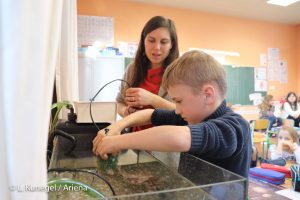 Installation de l'aquarium